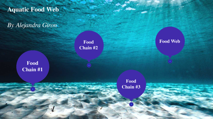 Aquatic Food Web by Alejandra Giron on Prezi