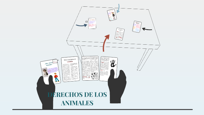 DERECHOS DE LOS ANIMALES by Mafe Chavarro on Prezi