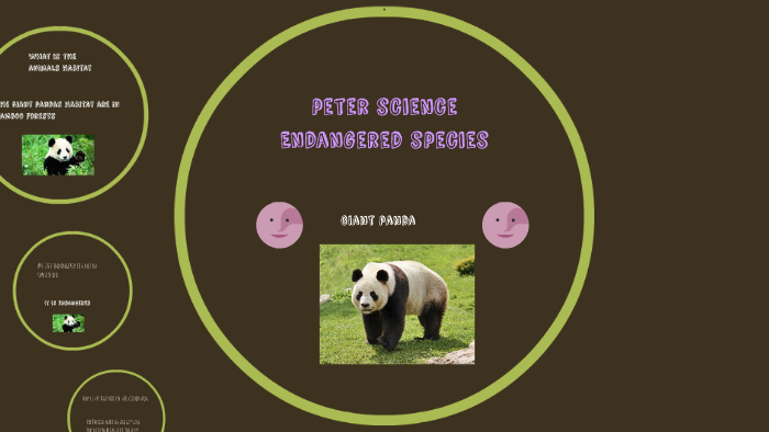 peter science Endangered species by Laura Gray on Prezi