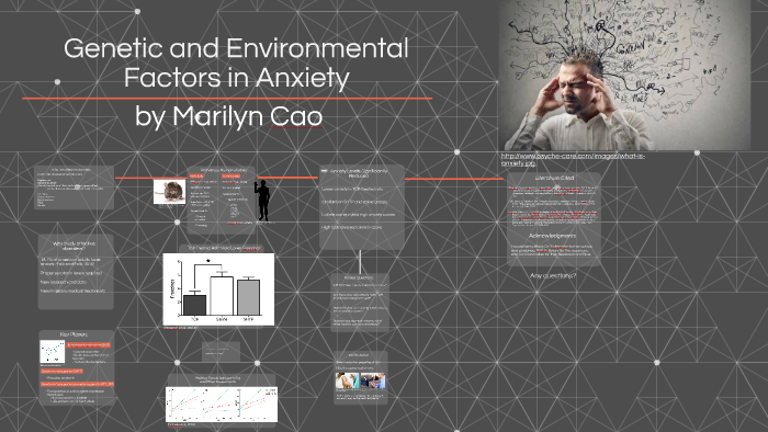 Genetic and Environmental Factors in Anxiety by Marilyn Cao on Prezi