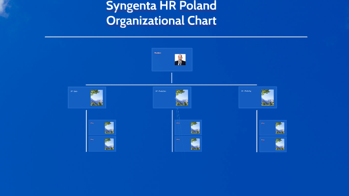 Syngenta Organizational Chart