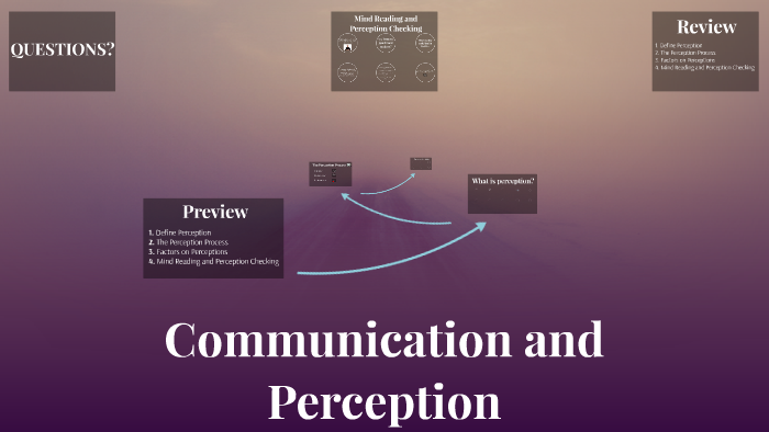 perception process in communication