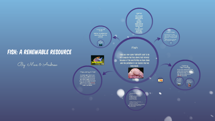  Fish: A Renewable Resource by Max Artus 