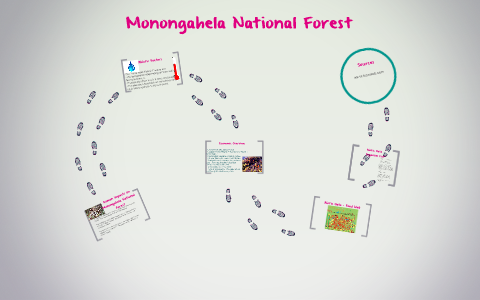 Human Impacts On Monogahela National Forest By Wyatt Deutschman