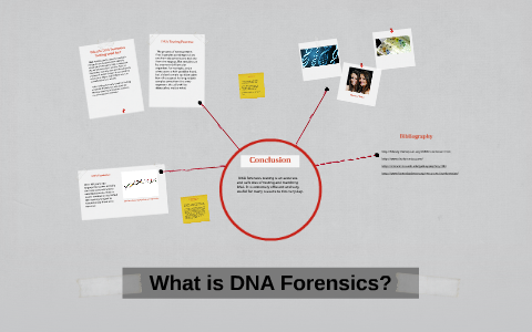 What is DNA Forensics? by Rachel Vallentin on Prezi