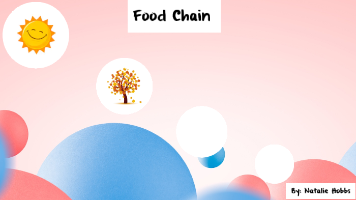 Food Chain by Natalie Hobbs on Prezi