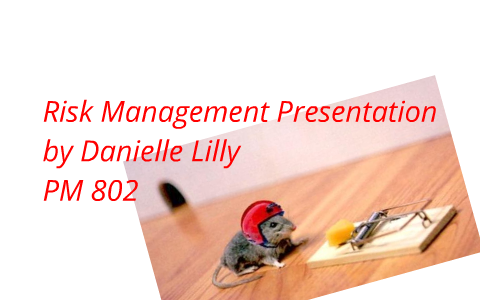 Risk Management Presentation by Danielle Lilly on Prezi