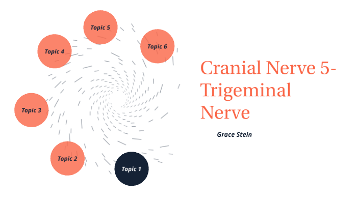 Cranial Nerve 5 by Grace Stein on Prezi