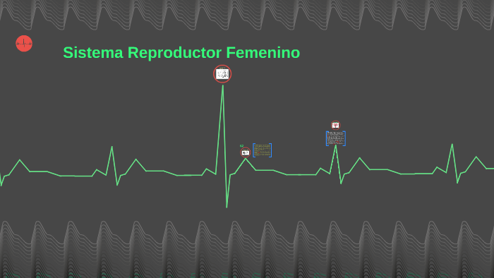 Sistema Reproductor Femenina By Celeste Natella