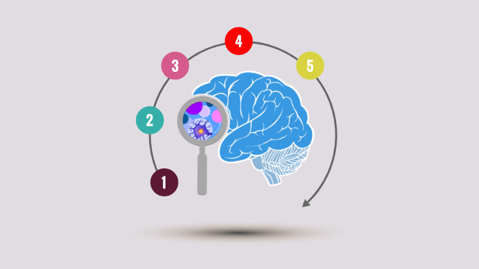 The brain by A P on Prezi