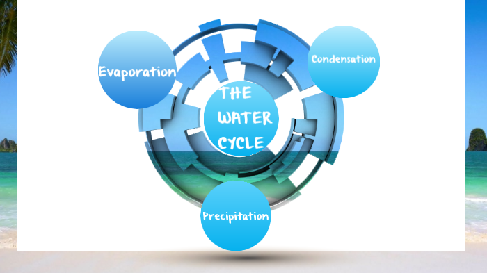 The Water Cycle by CHELSEA PERSAD on Prezi