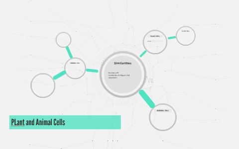PLant and Animal Cells by MIKE QUIROZ on Prezi