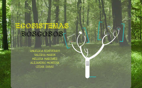 Ecosistemas boscosos by valeria marin on Prezi