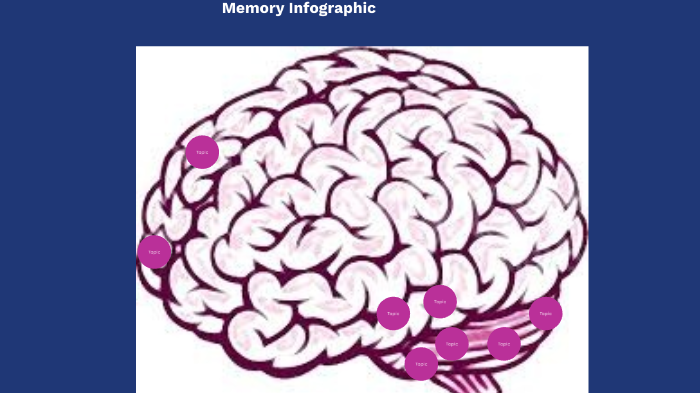 Memory Infographic by Kimberly Thompson on Prezi