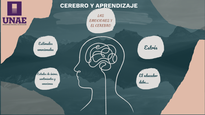 Cerebro y aprendizaje by Pablo Fernández on Prezi