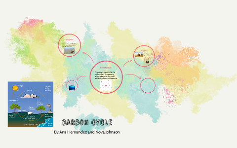 Carbon Cycle by ana hernandez on Prezi