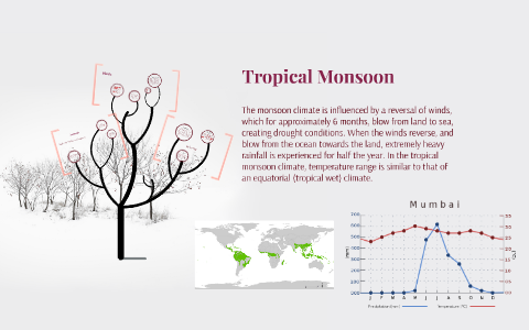 Tropical Monsoon By Becca Kletke