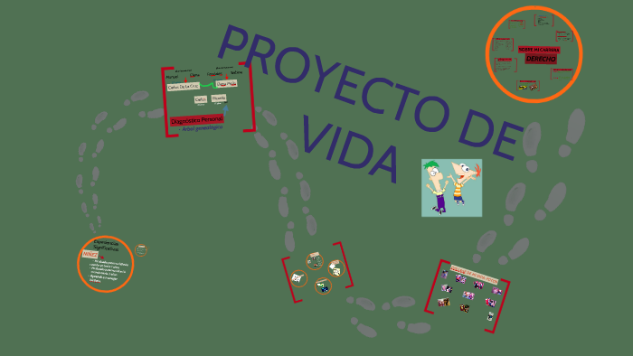 Proyecto de vida: Ricardo De La Cruz Mejia by MICHI NIKO on Prezi