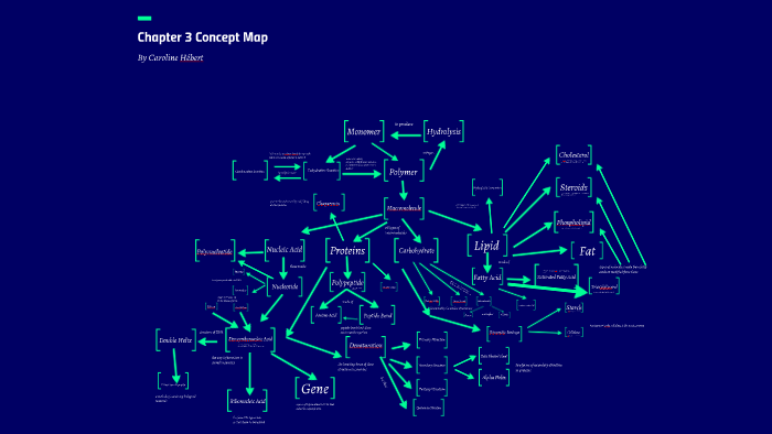 Chapter 3 Concept Map by Caroline Hebert on Prezi