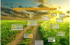 Ffa Emblem Parts Meanings By Paige Lemke