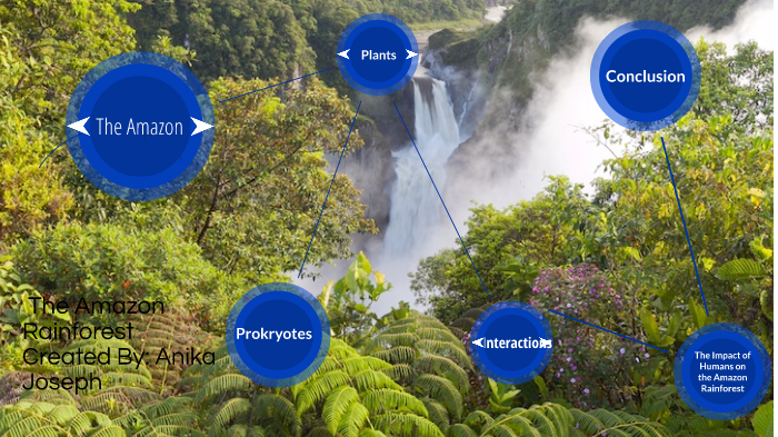 The Amazon Rainforest by Anika J on Prezi