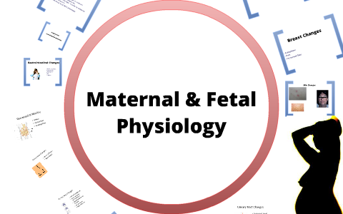 educational topic 8 maternal fetal physiology