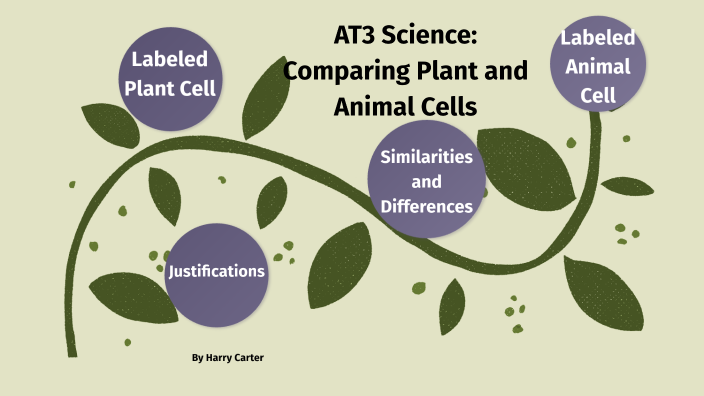 Plants and Animal Cells Assessment by Harry Carter on Prezi