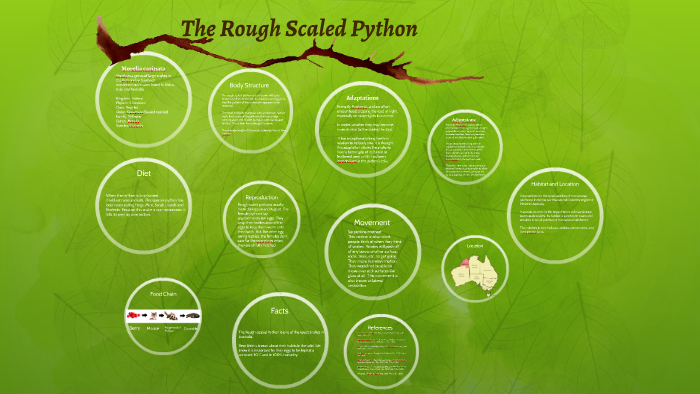 The Rough Scaled Python By Sophie Brown On Prezi