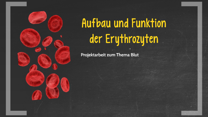 Struktur und Funktion der roten Blutkörperchen