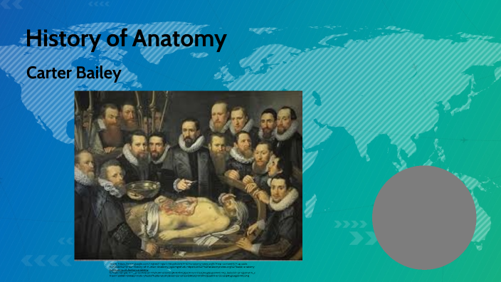 History of Anatomy by Carter Bailey on Prezi