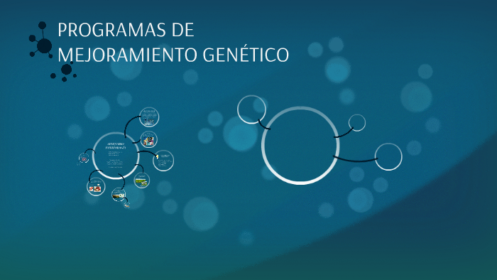 PROGRAMAS DE MEJORAMIENTO GENETICO By Natalia Cañar