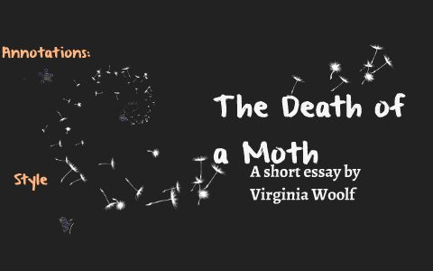 virginia woolf death of a moth analysis