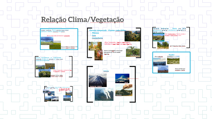 Relação Clima/vegetação by Adriana Matos on Prezi