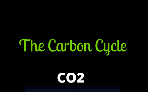 The Carbon Cycle by Cole Rogers on Prezi