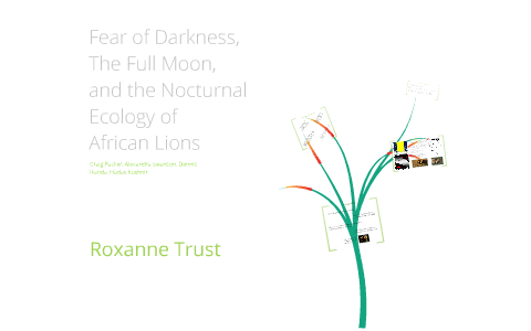 Fear of Darkness, the Full Moon, and the Nocturnal Ecology of African ...