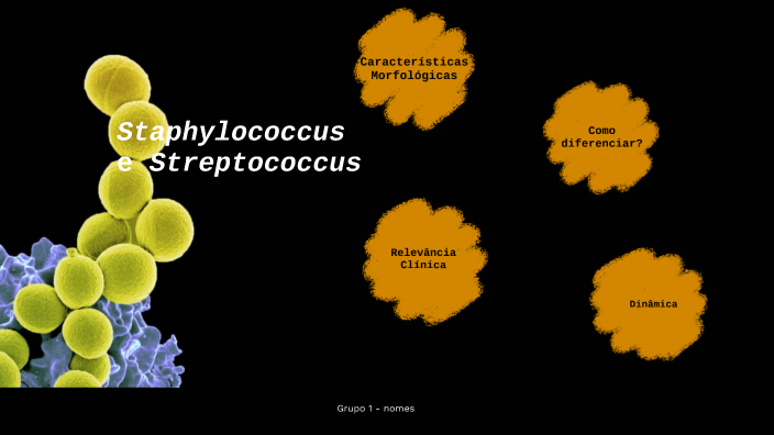 G1 - DIP. Staphylococcus e Streptococcus by ALAN DOS SANTOS on Prezi