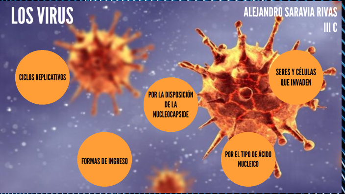 Los virus by Alejandro Saravia Rivas on Prezi