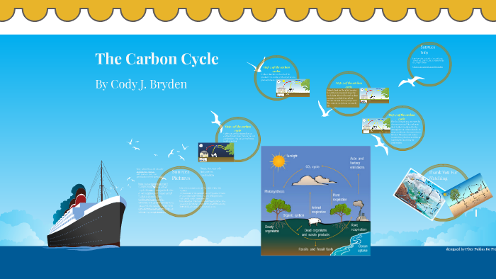The Carbon cycle by cody james on Prezi