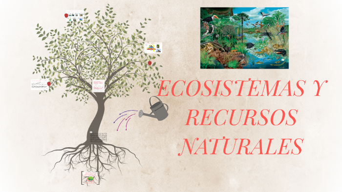 ECOSISTEMAS Y RECURSOS NATURAES by Lizeth Andrea Diaz Rodriguez on Prezi