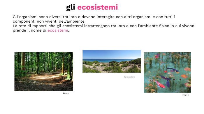 gli ecosistemi by Stefanelli Vincenzo on Prezi