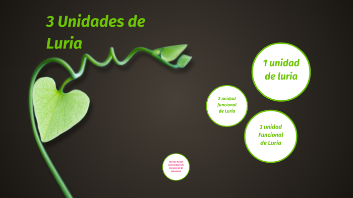 3 unidades de luria by Daniela Kogan on Prezi
