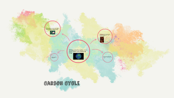 Carbon Cycle by Leh Russ on Prezi