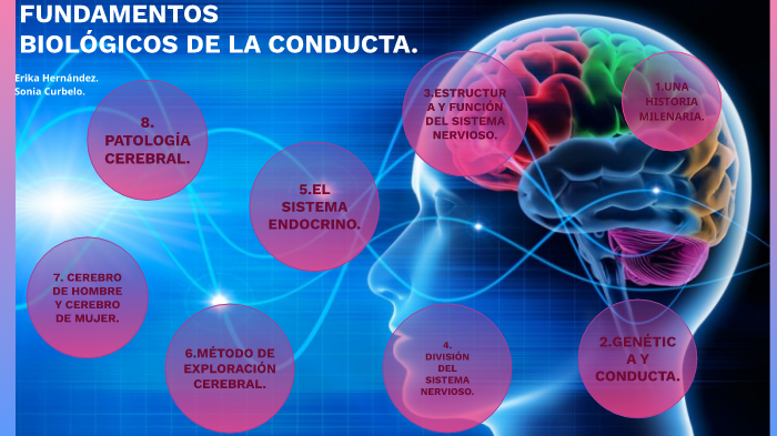 Fundamentos Biológicos De La Conducta By Erika Hernández Cabrera On Prezi 5966