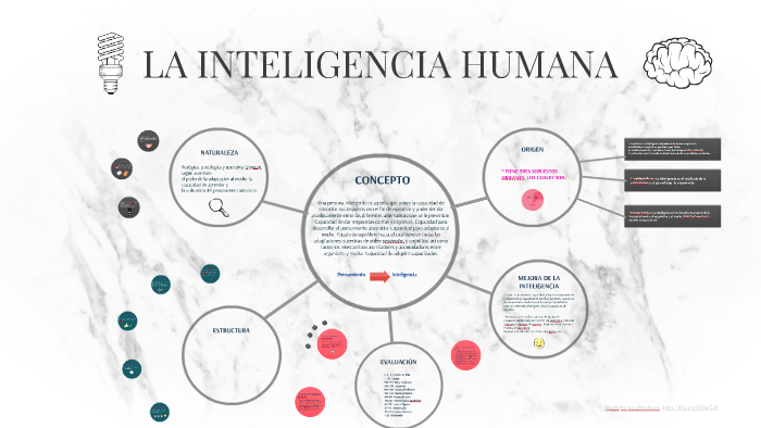 LA INTELIGENCIA HUMANA by Ariana Documet on Prezi