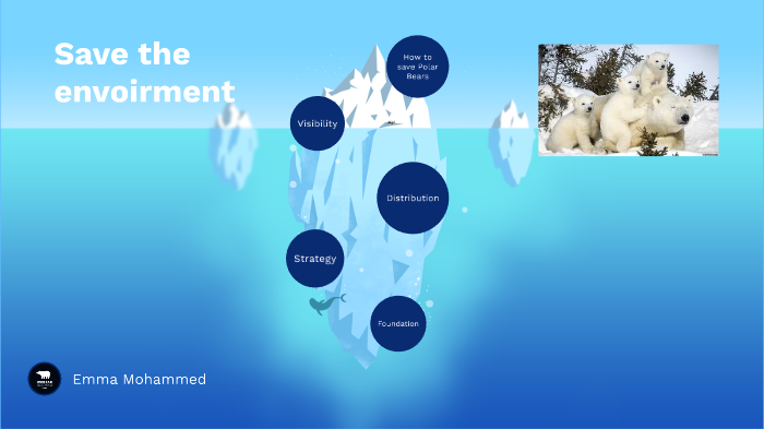 polar bears by Emma Mohammed on Prezi