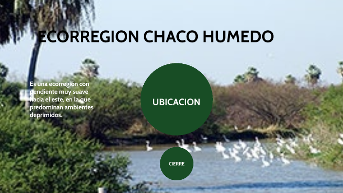 ECORREGION CHACO HUMEDO by Tiziano Aguirre on Prezi