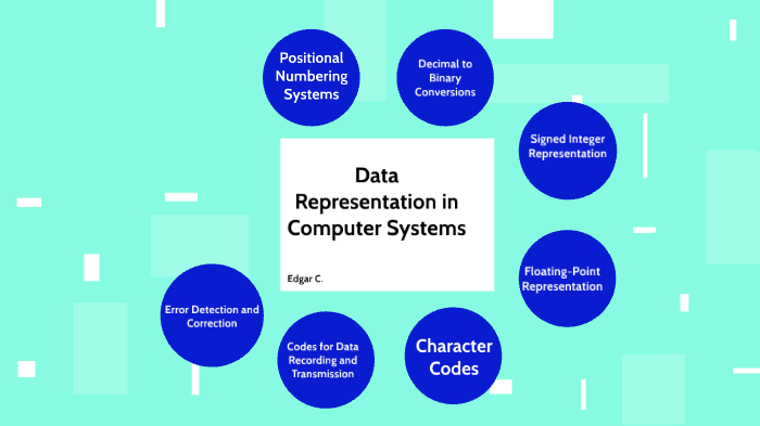data representation in computer ss3