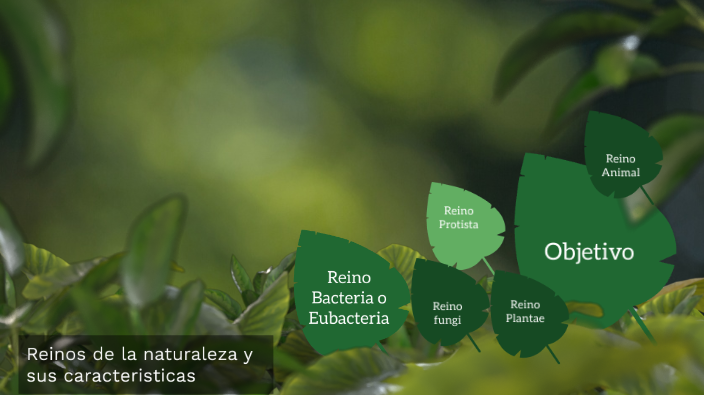 8° Reino de la naturaleza by Priscila Velasquez on Prezi