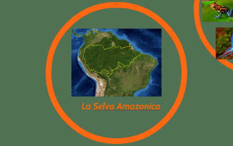 La Selva Amazonica by Bre L. on Prezi