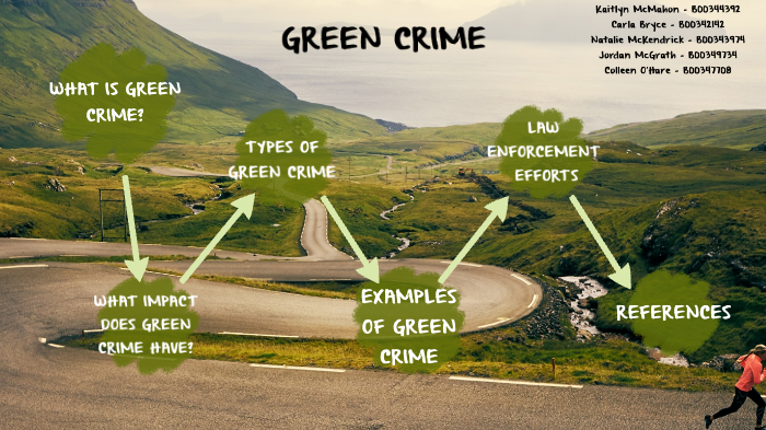 essay on green crime